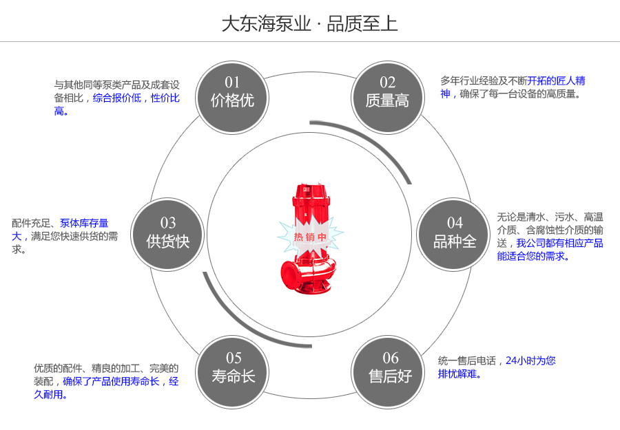 大東海泵業(yè)耐高溫潛水泵質(zhì)量保證圖