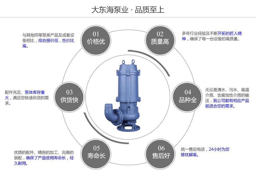 大東海泵業(yè)自動攪勻排污泵質量保證圖