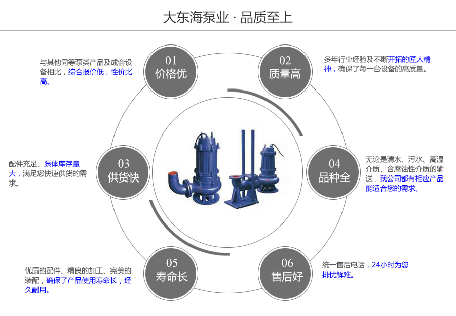 大東海泵業(yè)WQ型工程污水泵質量保證圖